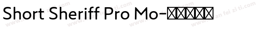 Short Sheriff Pro Mo字体转换